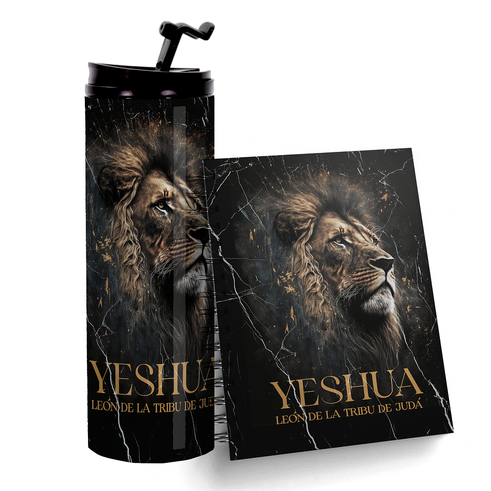 Box Inspiración Diaria - León Color Negro 1