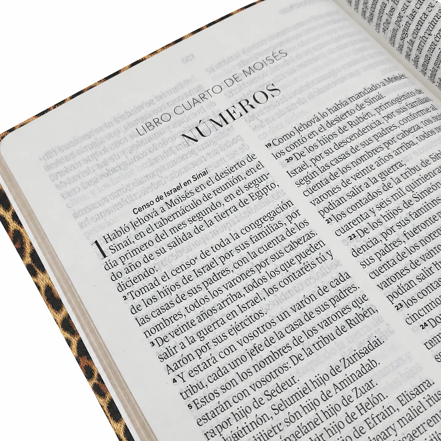 Biblia Reina Valera 1960 Letra Grande - Animal Print 3