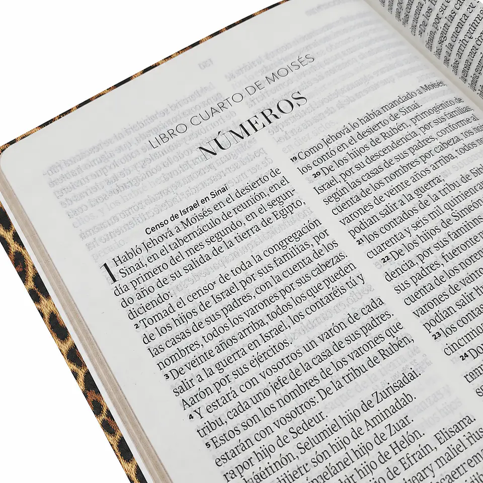 Biblia Reina Valera 1960 Letra Grande - Animal Print 3