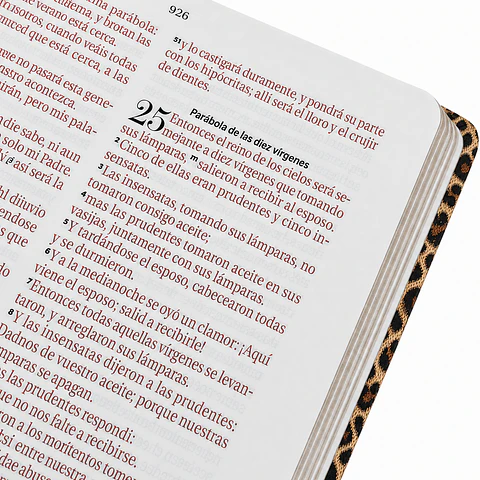 Biblia Reina Valera 1960 Letra Grande - Animal Print