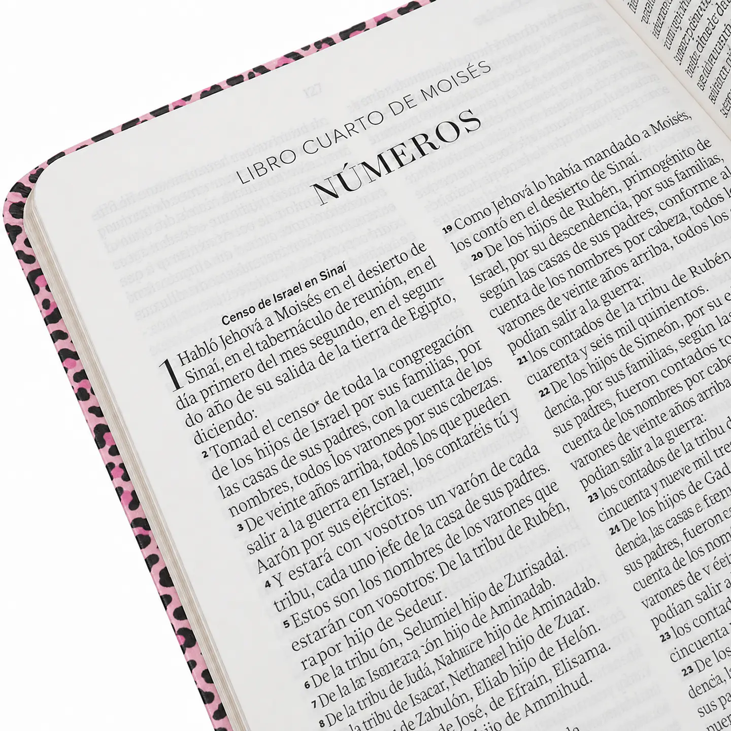 Biblia Reina Valera 1960 Letra Grande - Animal Print Rosa  3
