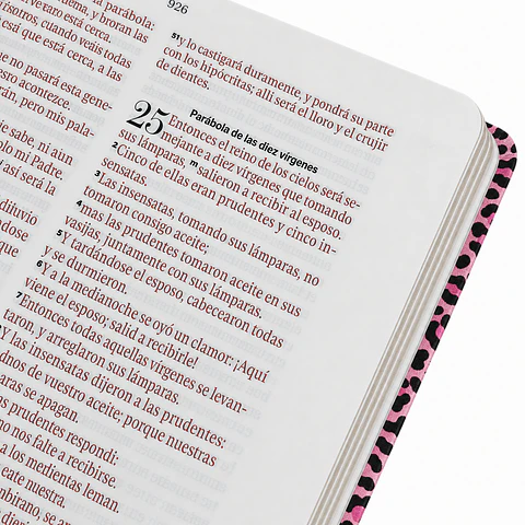 Tiempo con Dios - Animal Print Rosa RV60 Letra Grande- COPIA