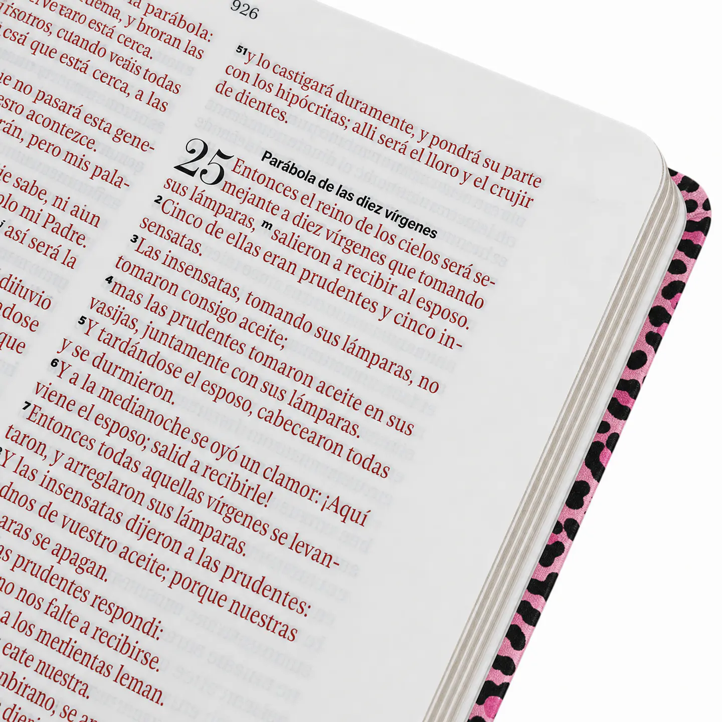 Tiempo con Dios - Animal Print Rosa RV60 Letra Grande- COPIA 2