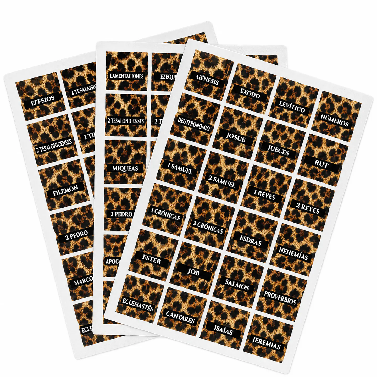 Pestañas para Biblia Animal Print 1
