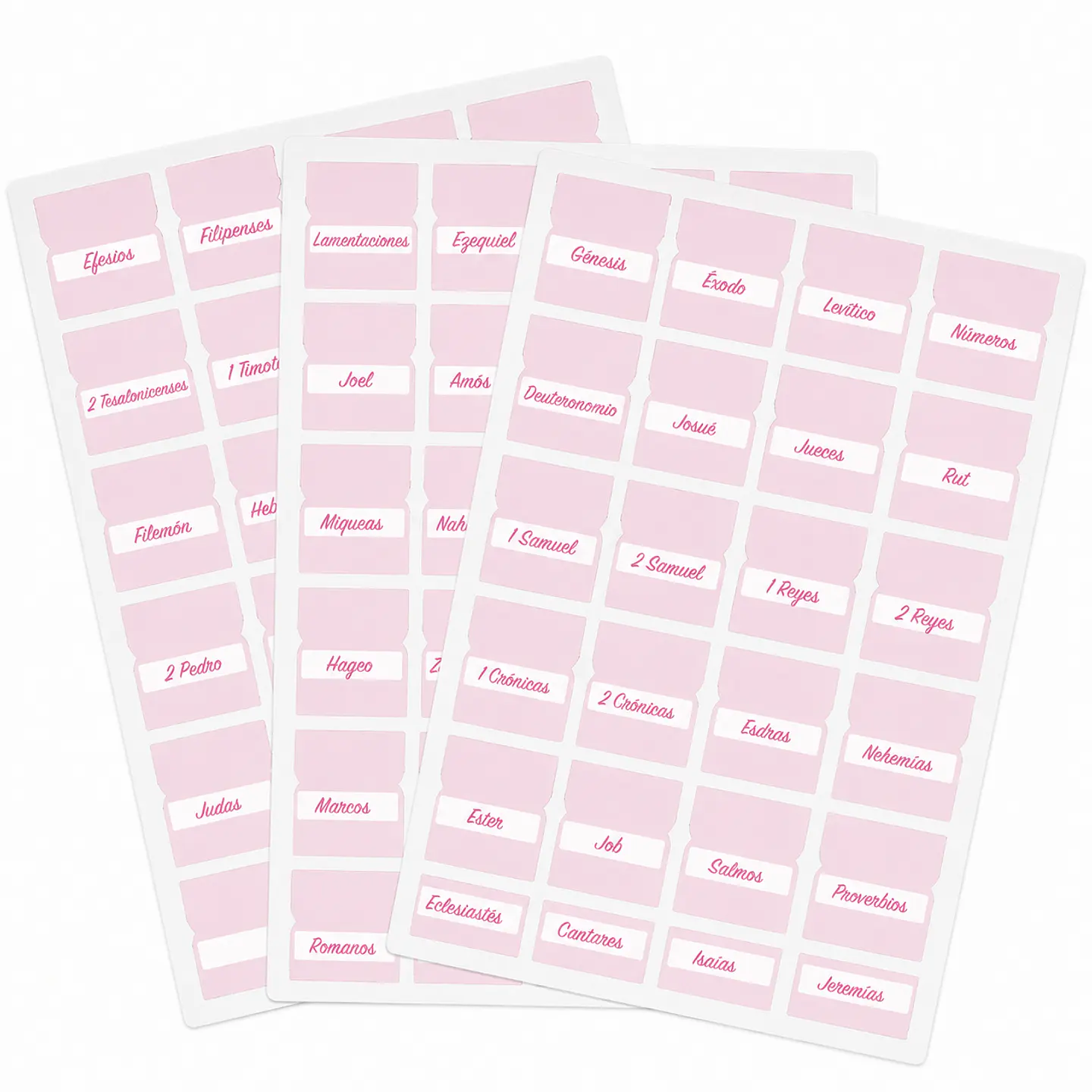 Pestañas para Biblia Rosadas 1