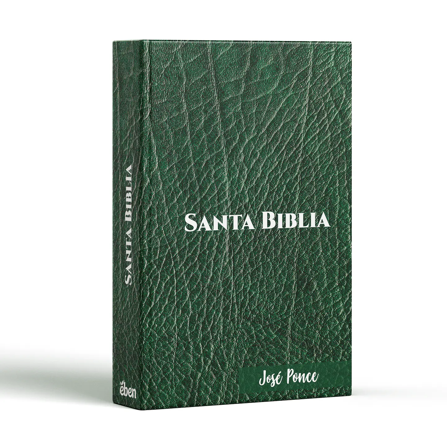Biblia Efecto Cuero Verde 1