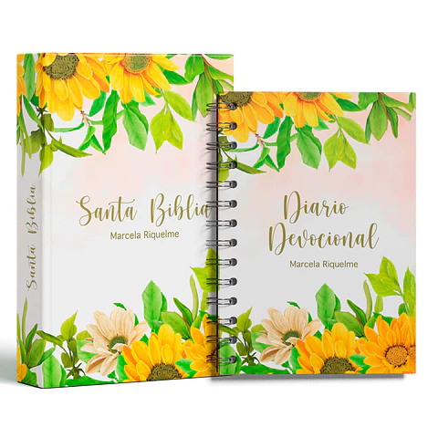 Tiempo con Dios – Girasoles