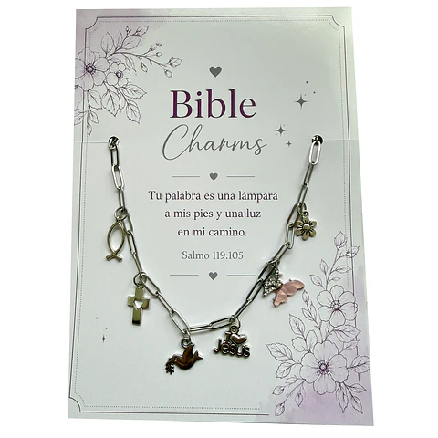 Bible Charms Silver N2