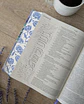 Biblia Inspira NTV Letra grande (con hermosas ilustraciones) - Miniatura 3