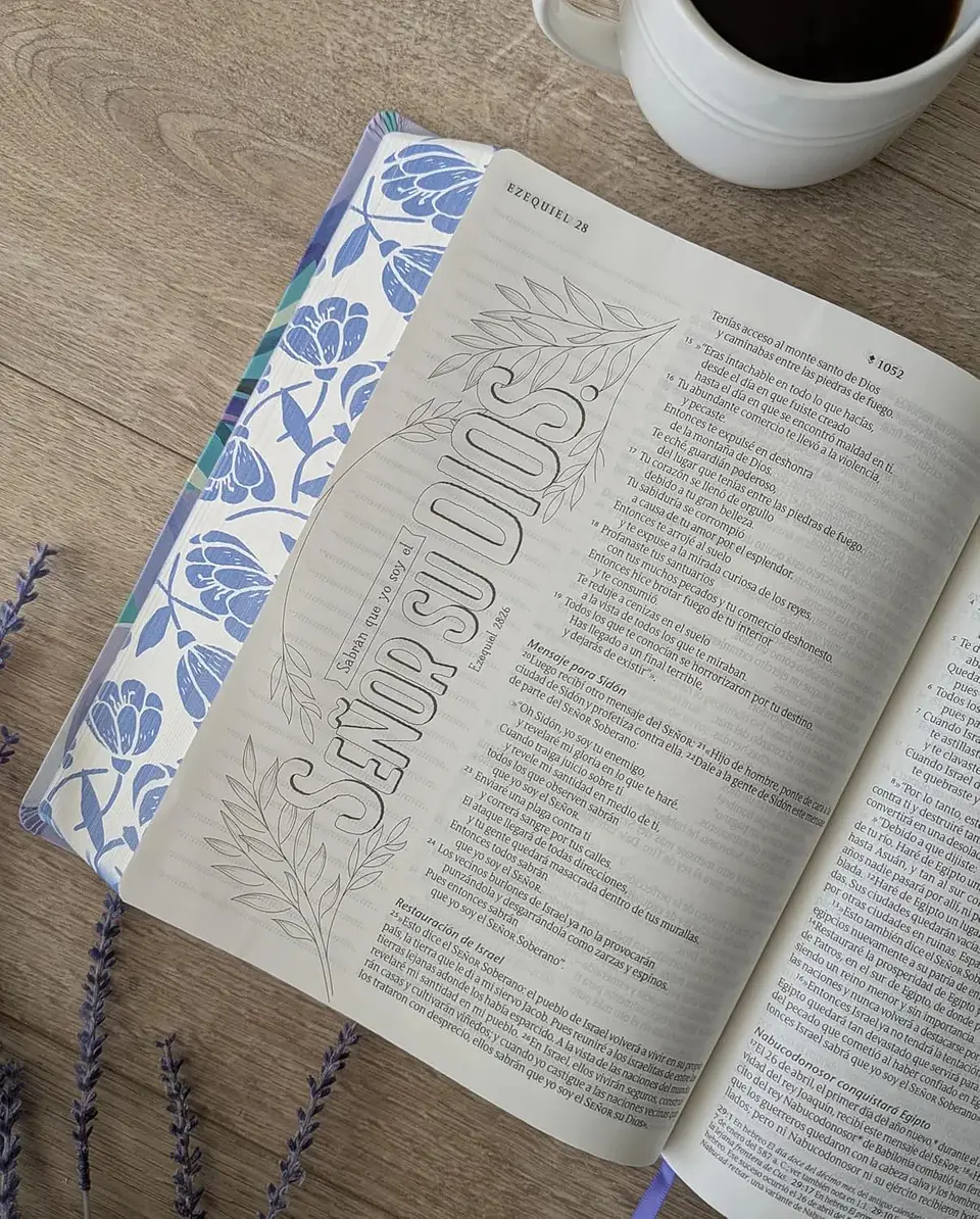 Biblia Inspira NTV Letra grande (con hermosas ilustraciones) 3