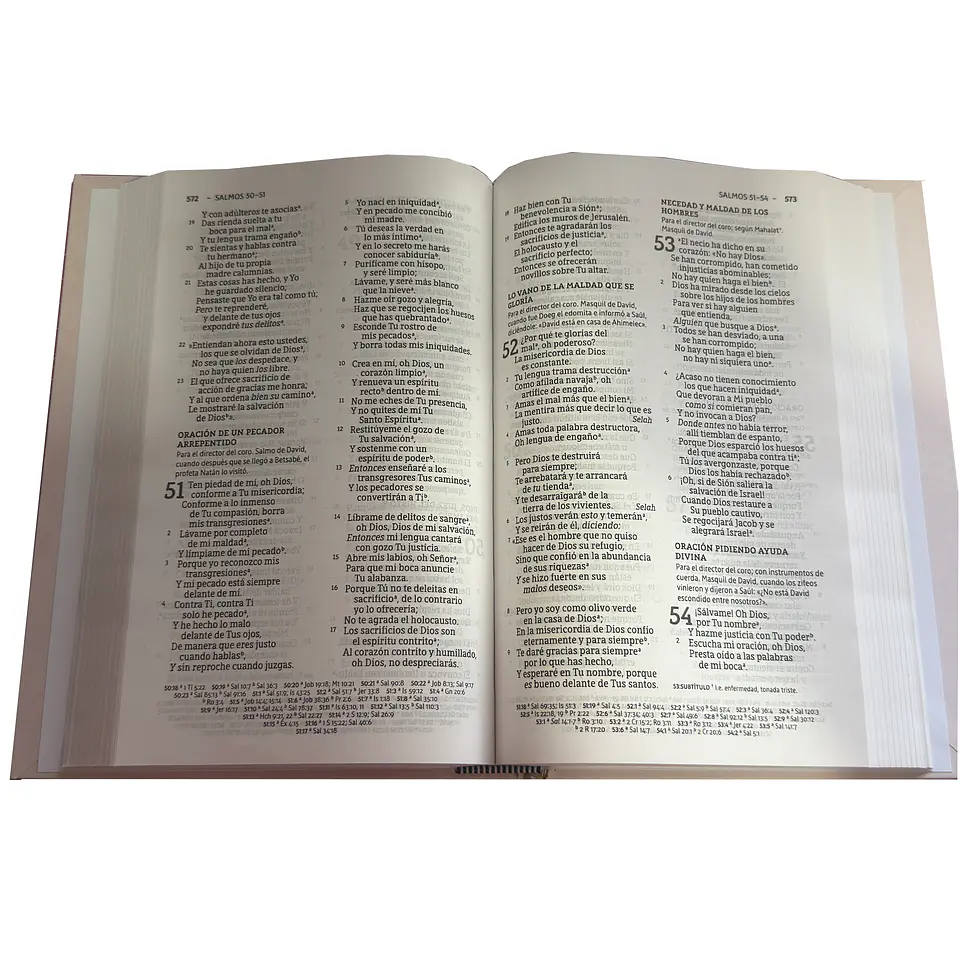 Biblia NBLA Letra Grande - Diseño a elección 3