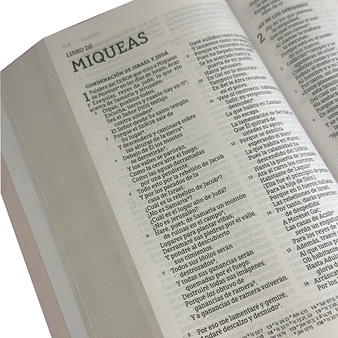 Biblia NBLA Letra Grande - Diseño a elección