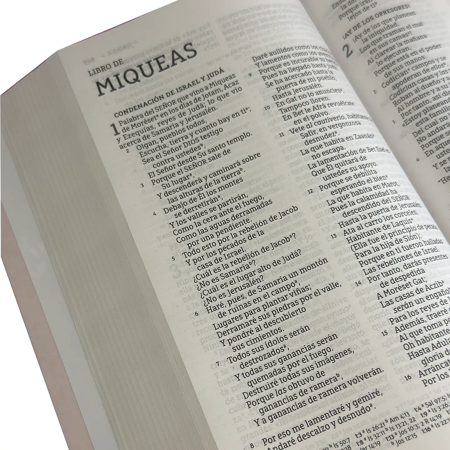 Biblia NBLA Letra Grande - Diseño a elección 2