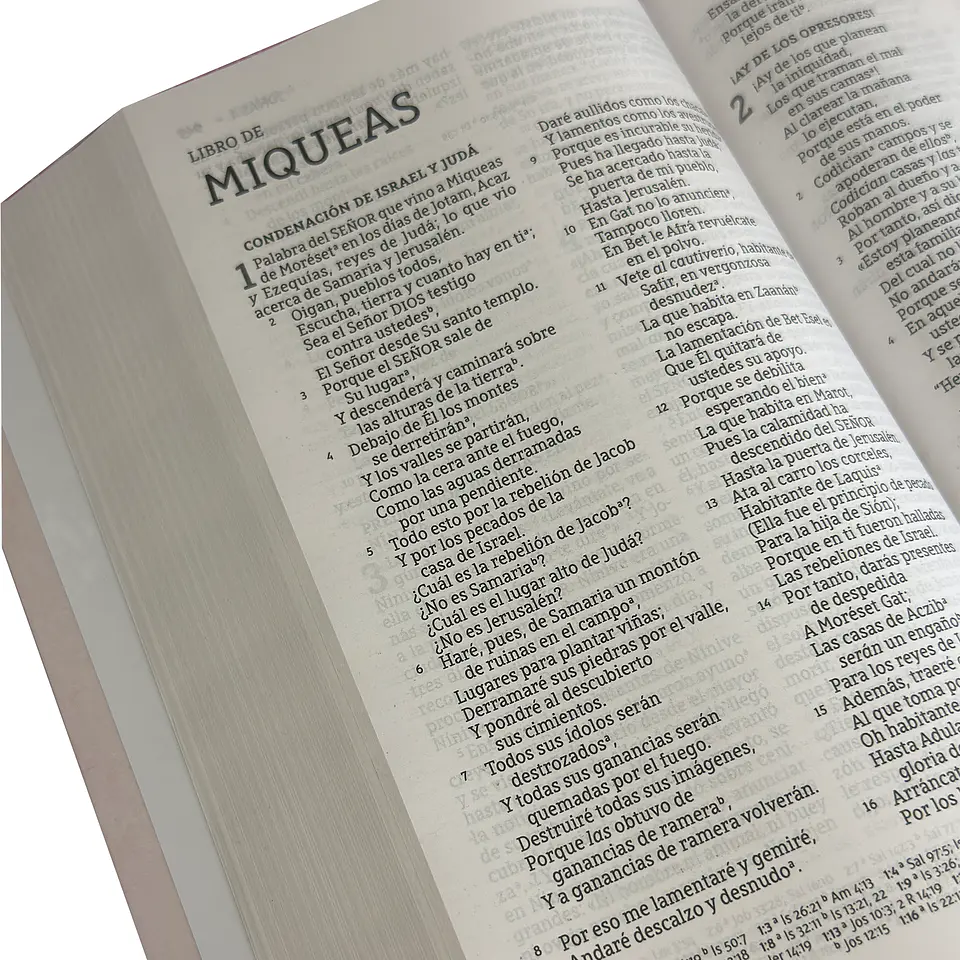 Biblia NBLA Letra Grande - Diseño a elección 2
