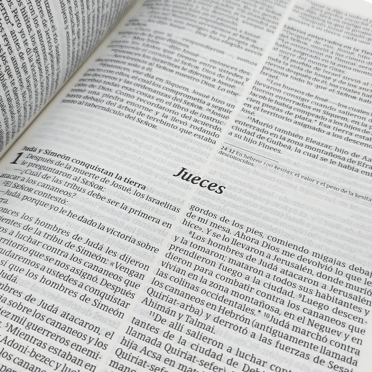 Biblia NTV - Diseño a elección 2