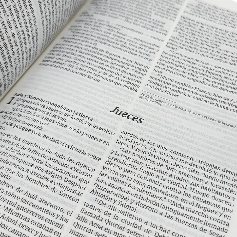 Biblia NTV - Diseño a elección 2