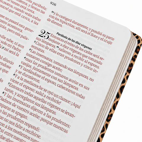 Biblia Reina Valera 1960 Letra Grande - Diseño a elección