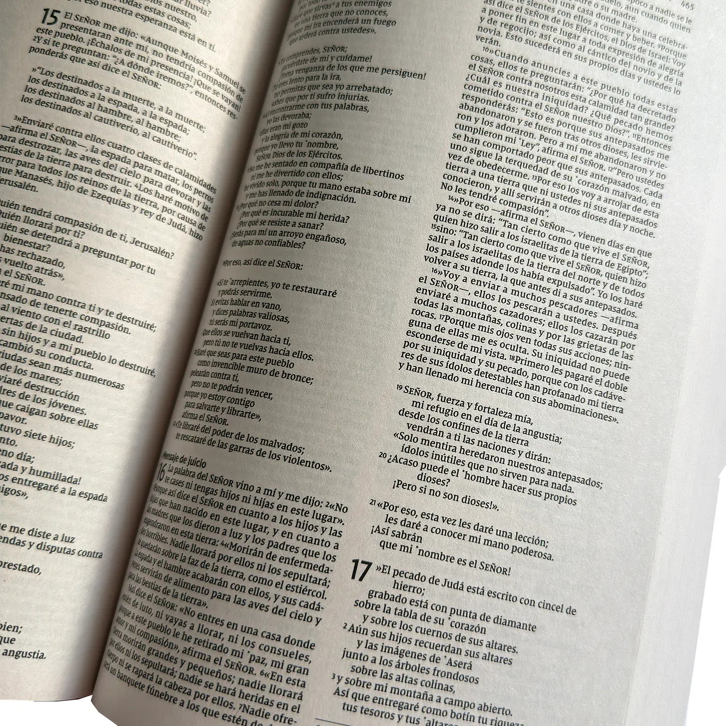 Biblia Efecto Cuero 3