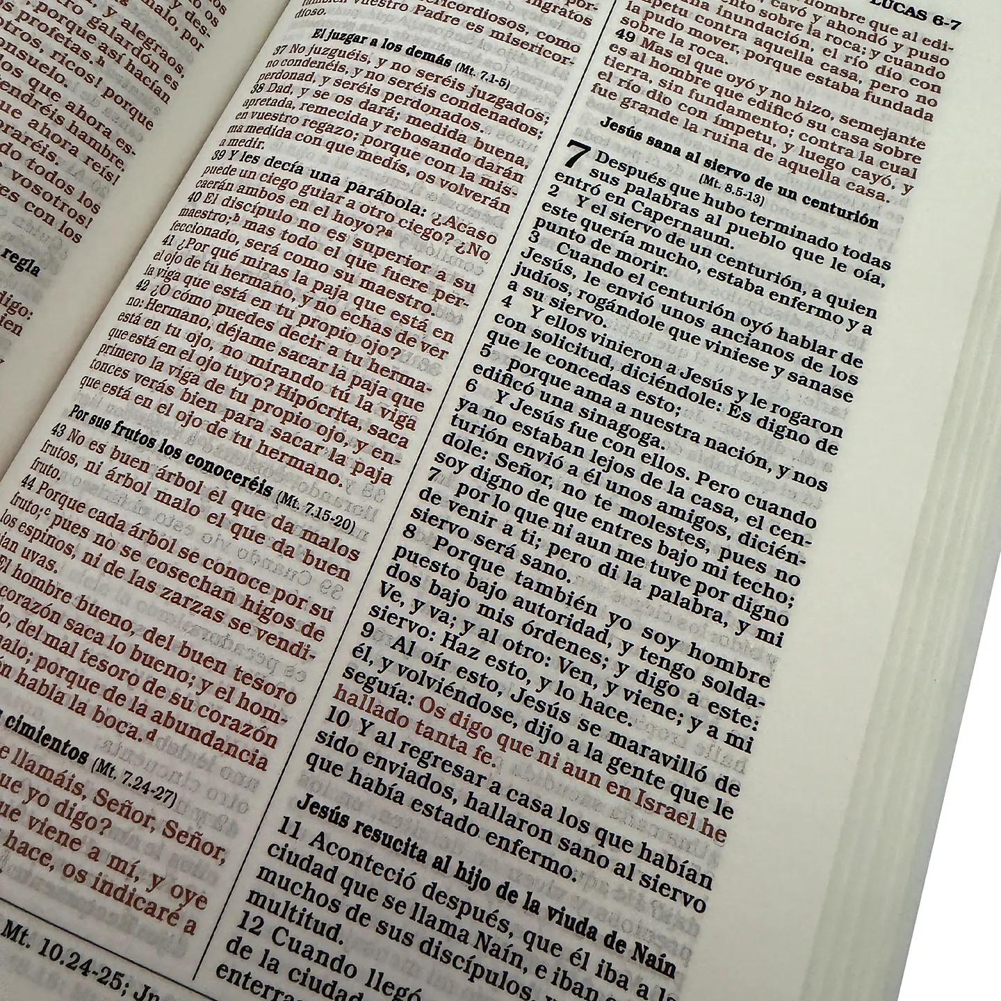 Biblia Reina Valera 1960 con Palabras de Jesús en Rojo - Diseño a elección 2