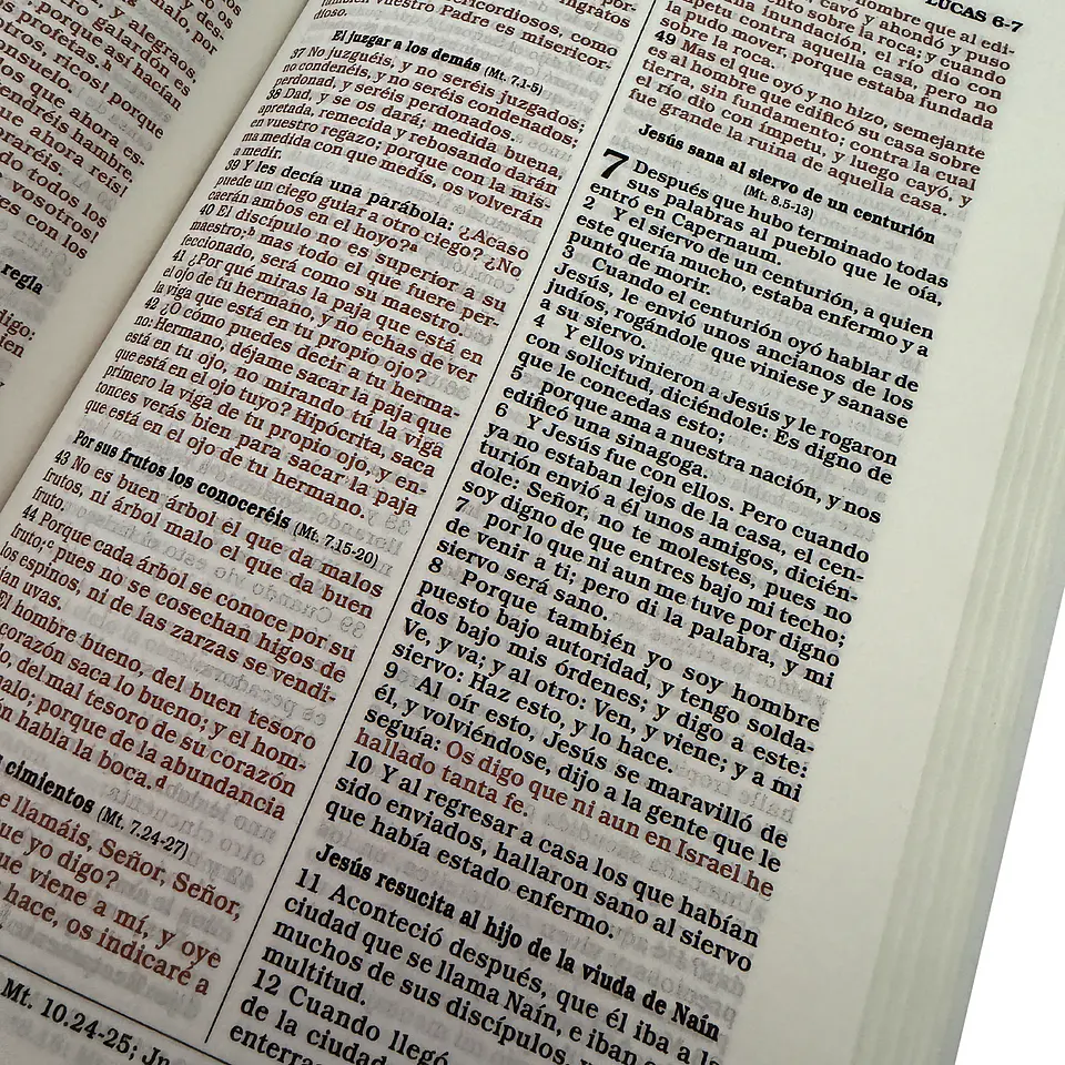 Biblia Reina Valera 1960 con Palabras de Jesús en Rojo - Diseño a elección 2