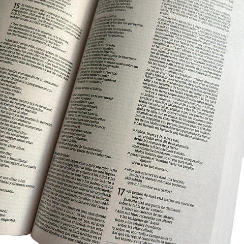 Biblia Turquesa Flores