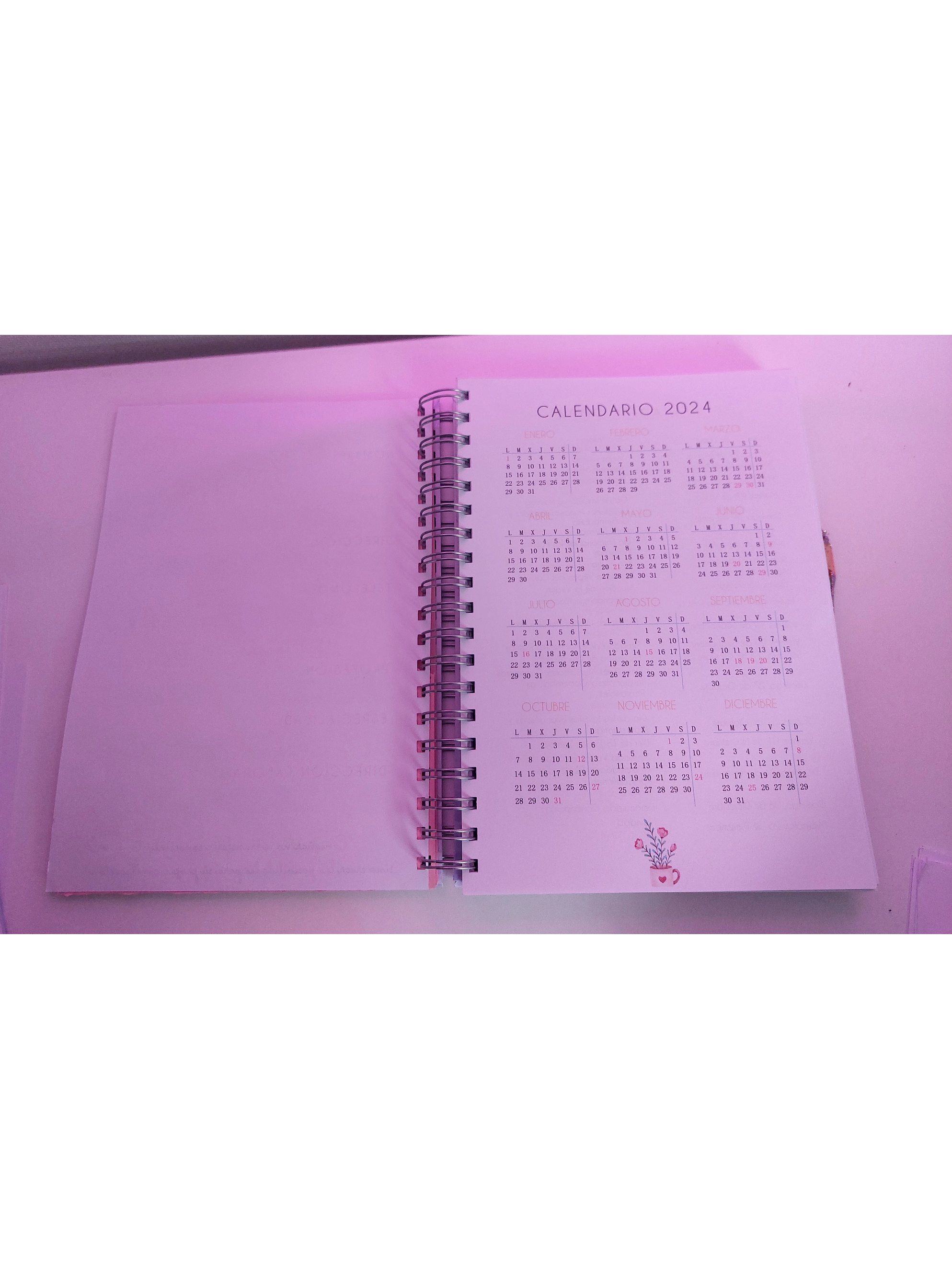 Planner Docente Personalizado 4