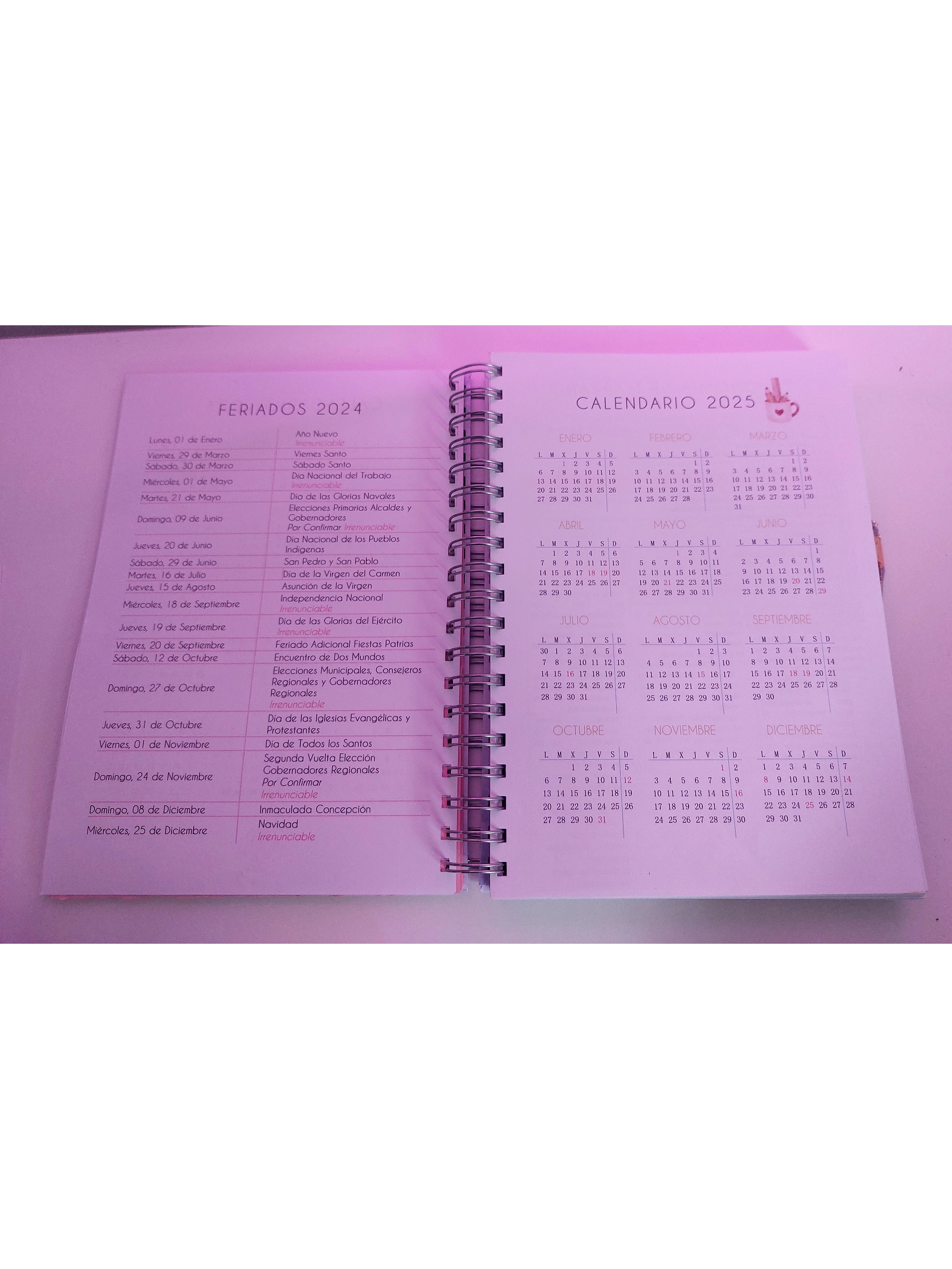 Planner Docente Personalizado 5