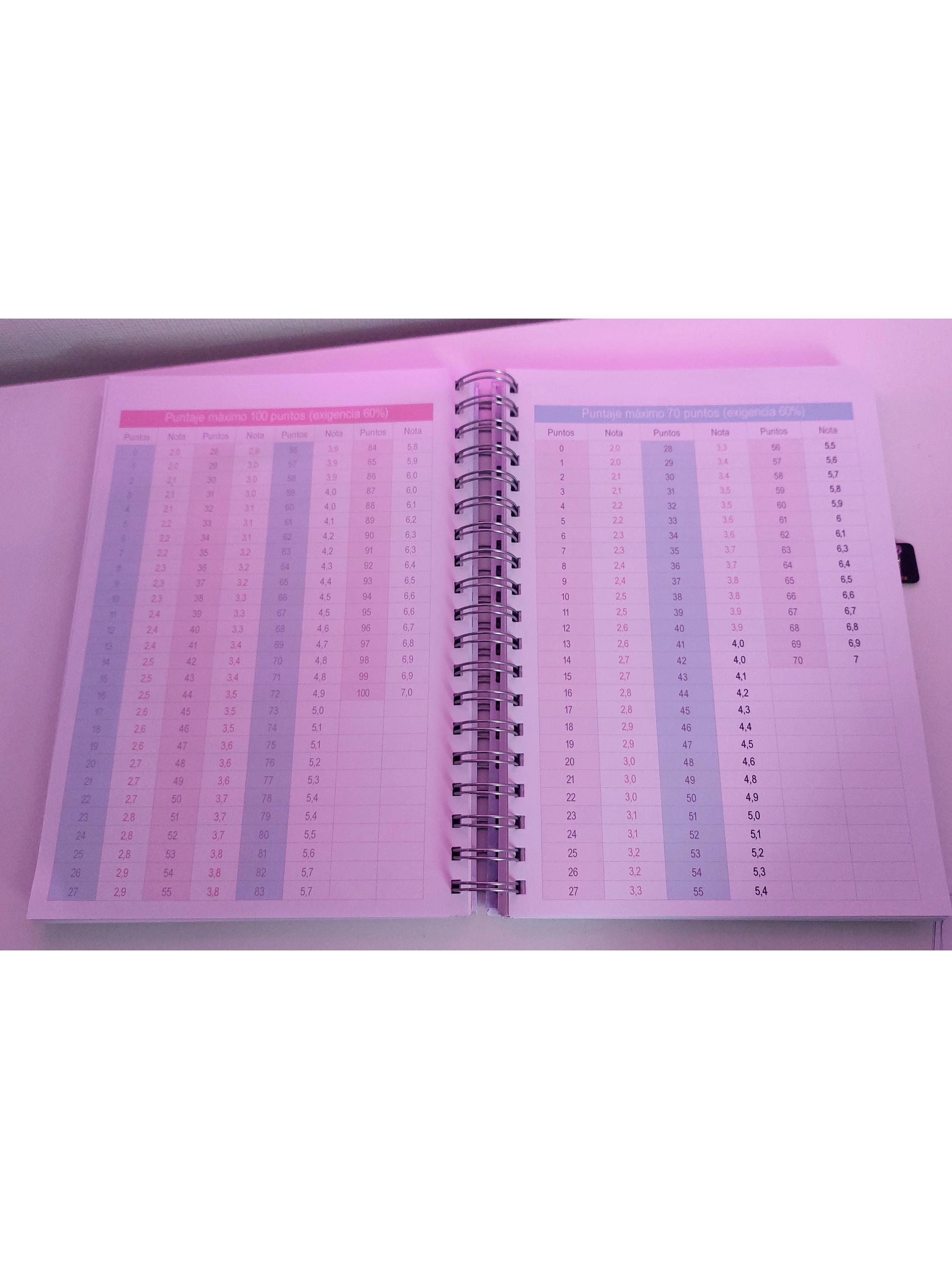 Planner Docente Personalizado 11