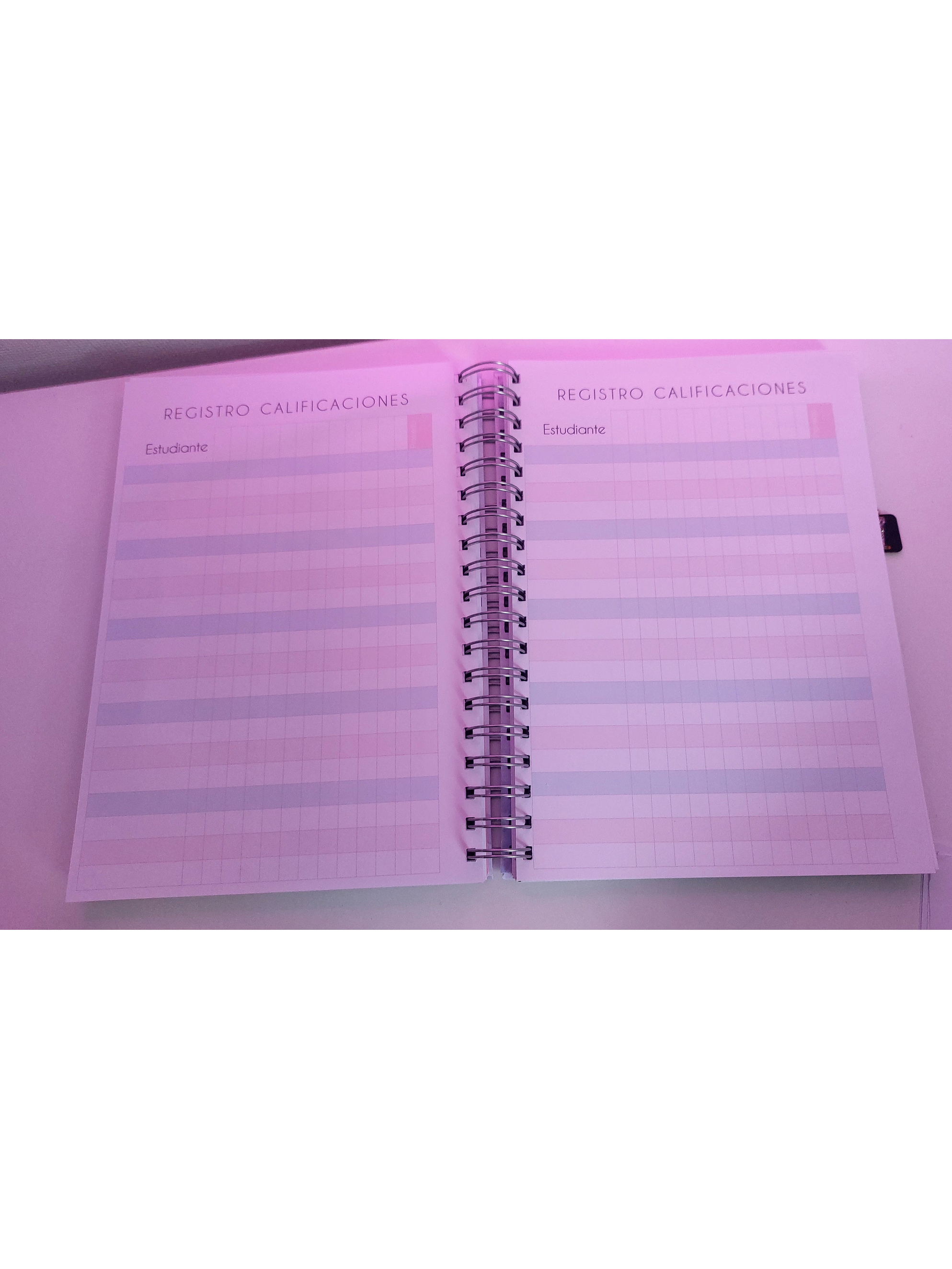 Planner Docente Personalizado 12