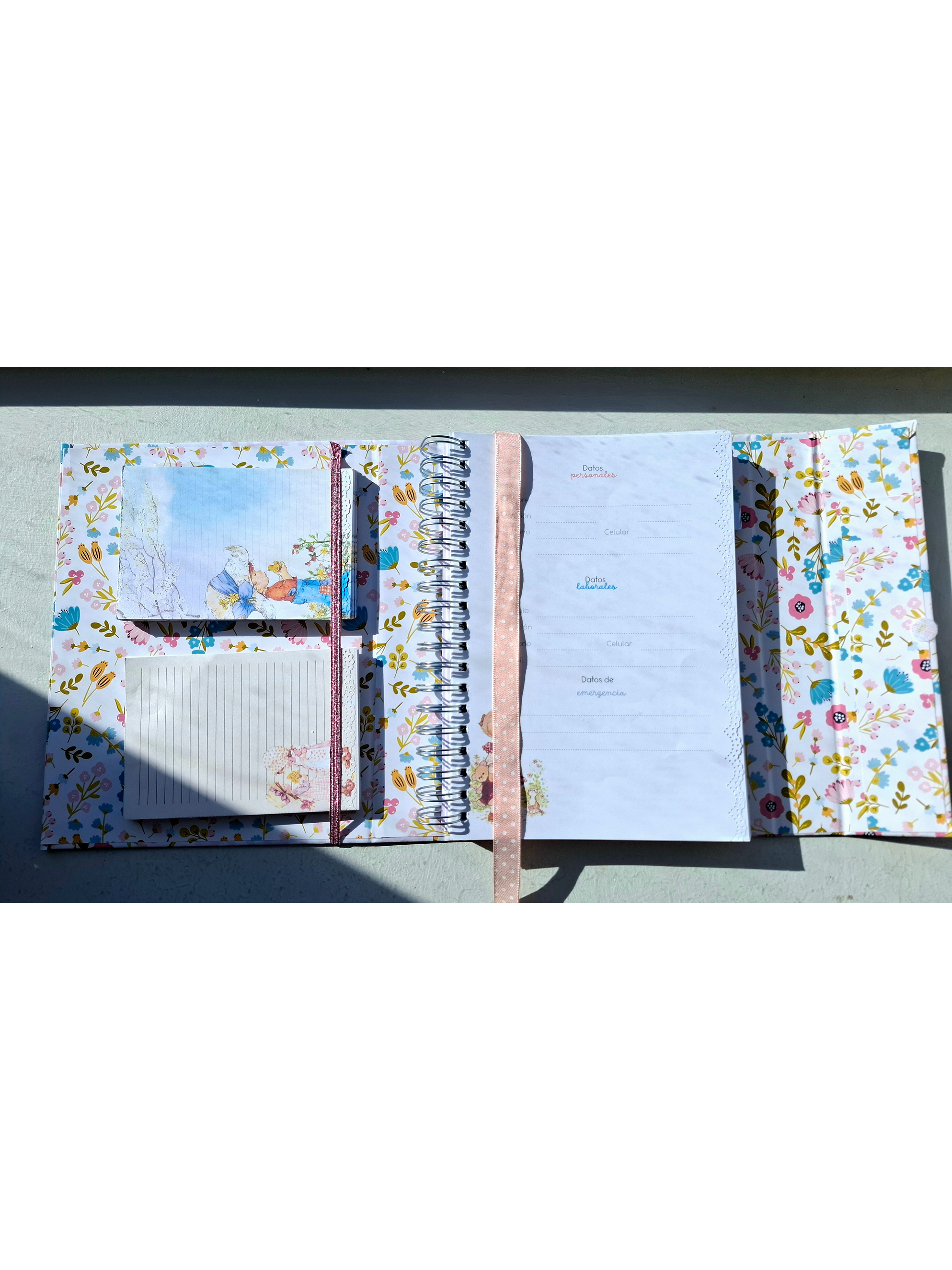 Organizador Docente Sarah Kay 3