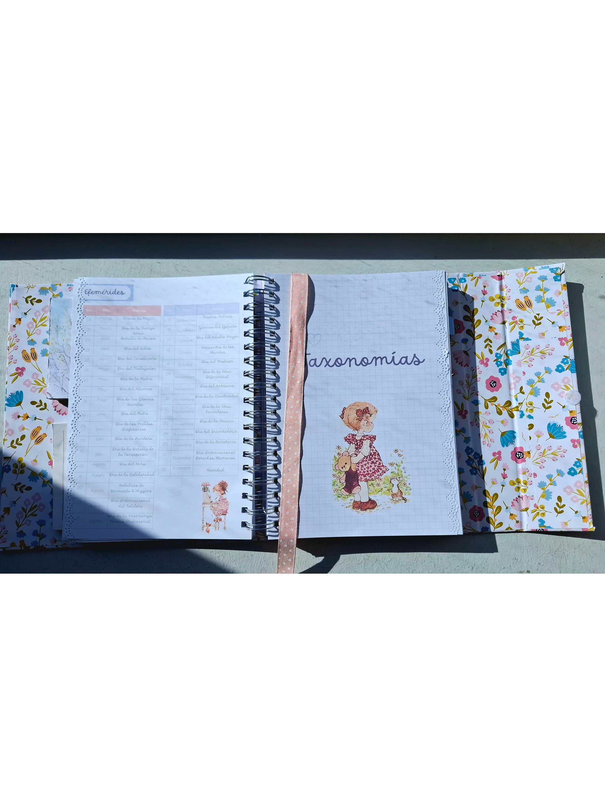 Organizador Docente Sarah Kay 6