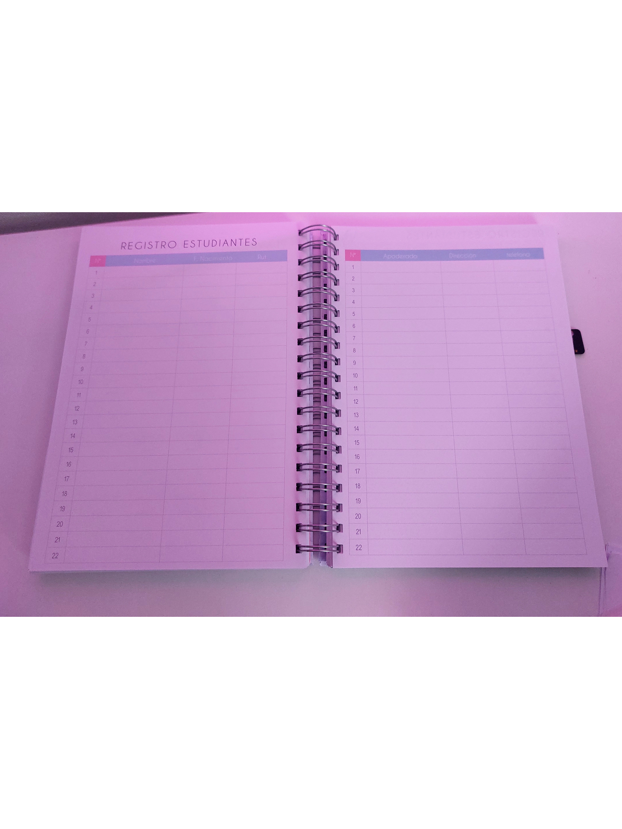 Planner Docente Personalizado 14