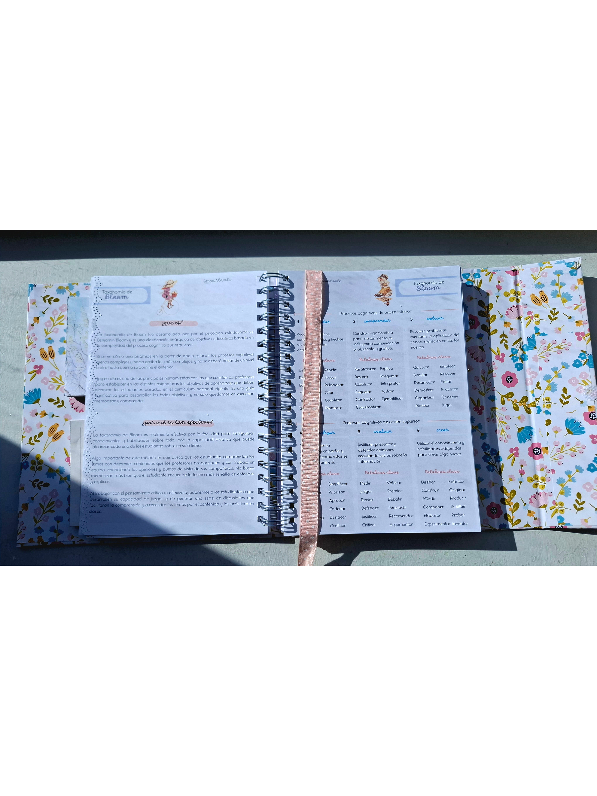 Organizador Docente Sarah Kay 7