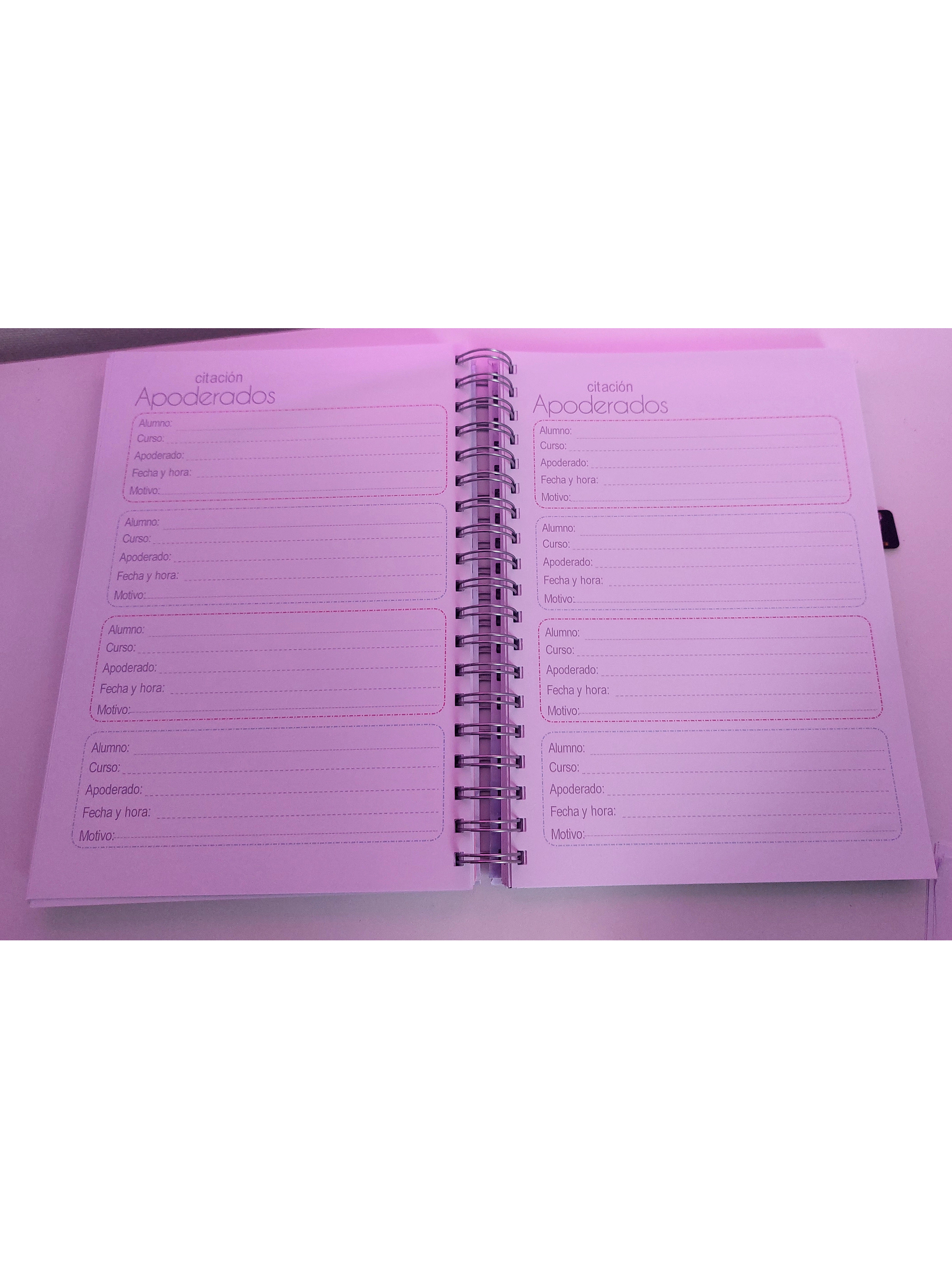 Planner Docente Personalizado 15