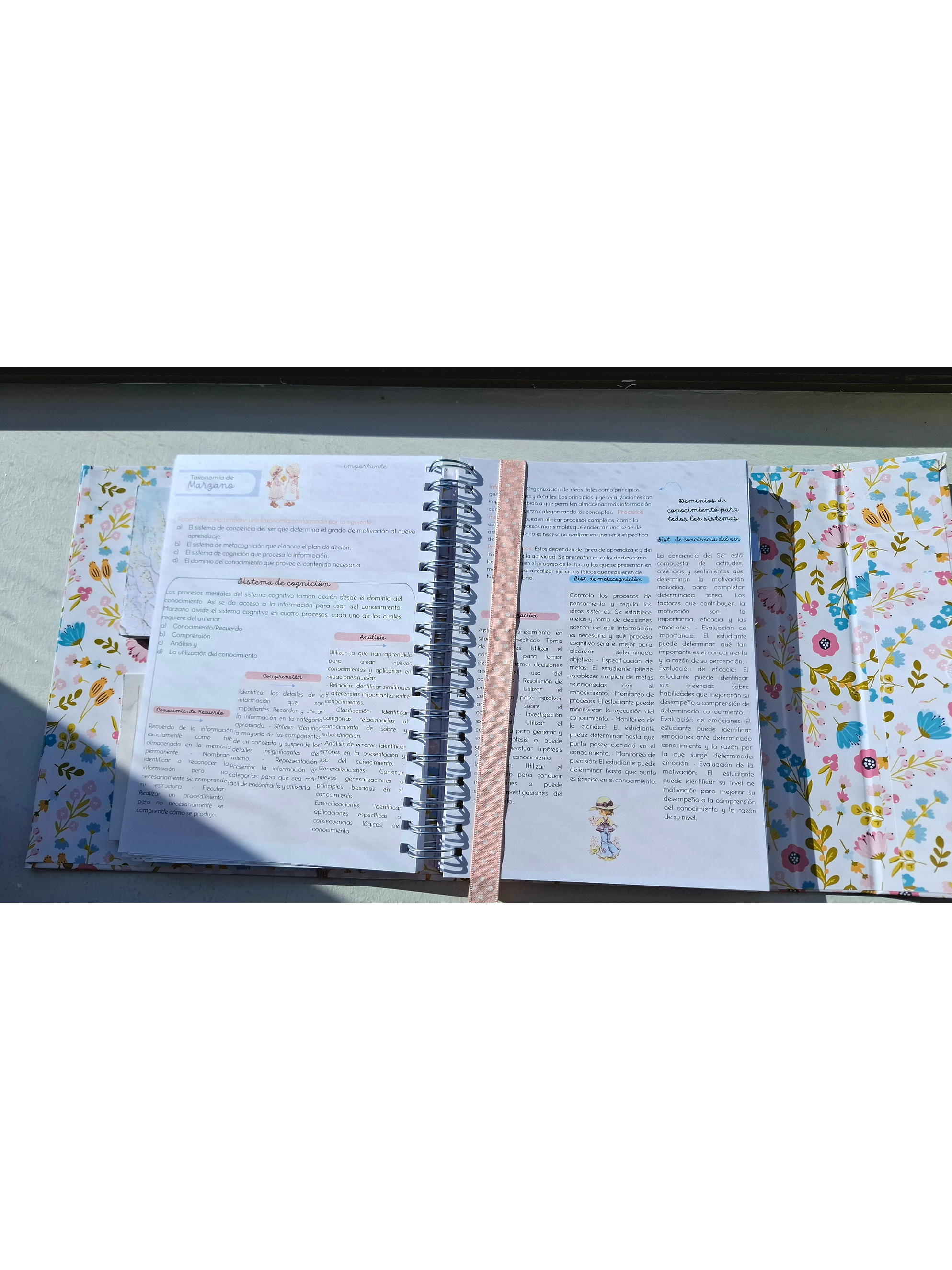 Organizador Docente Sarah Kay 8