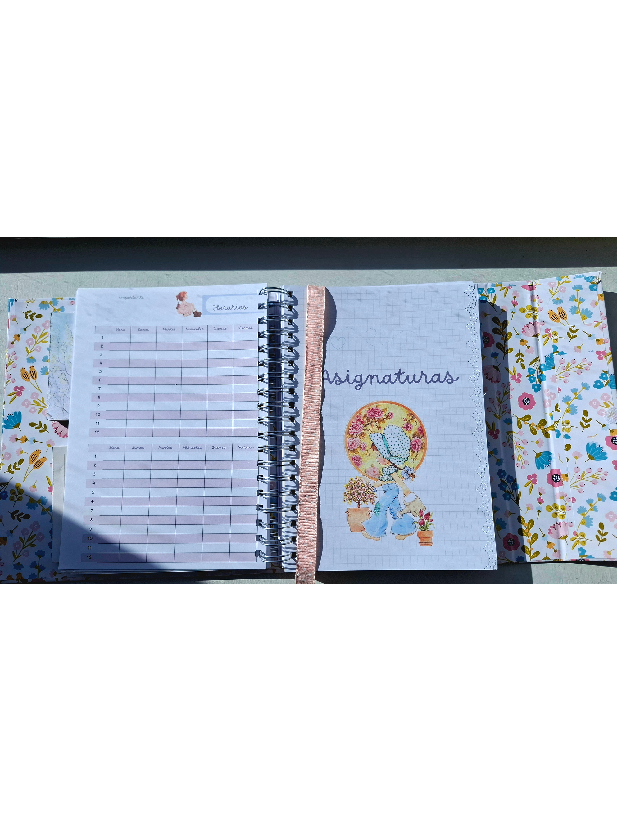 Organizador Docente Sarah Kay 10