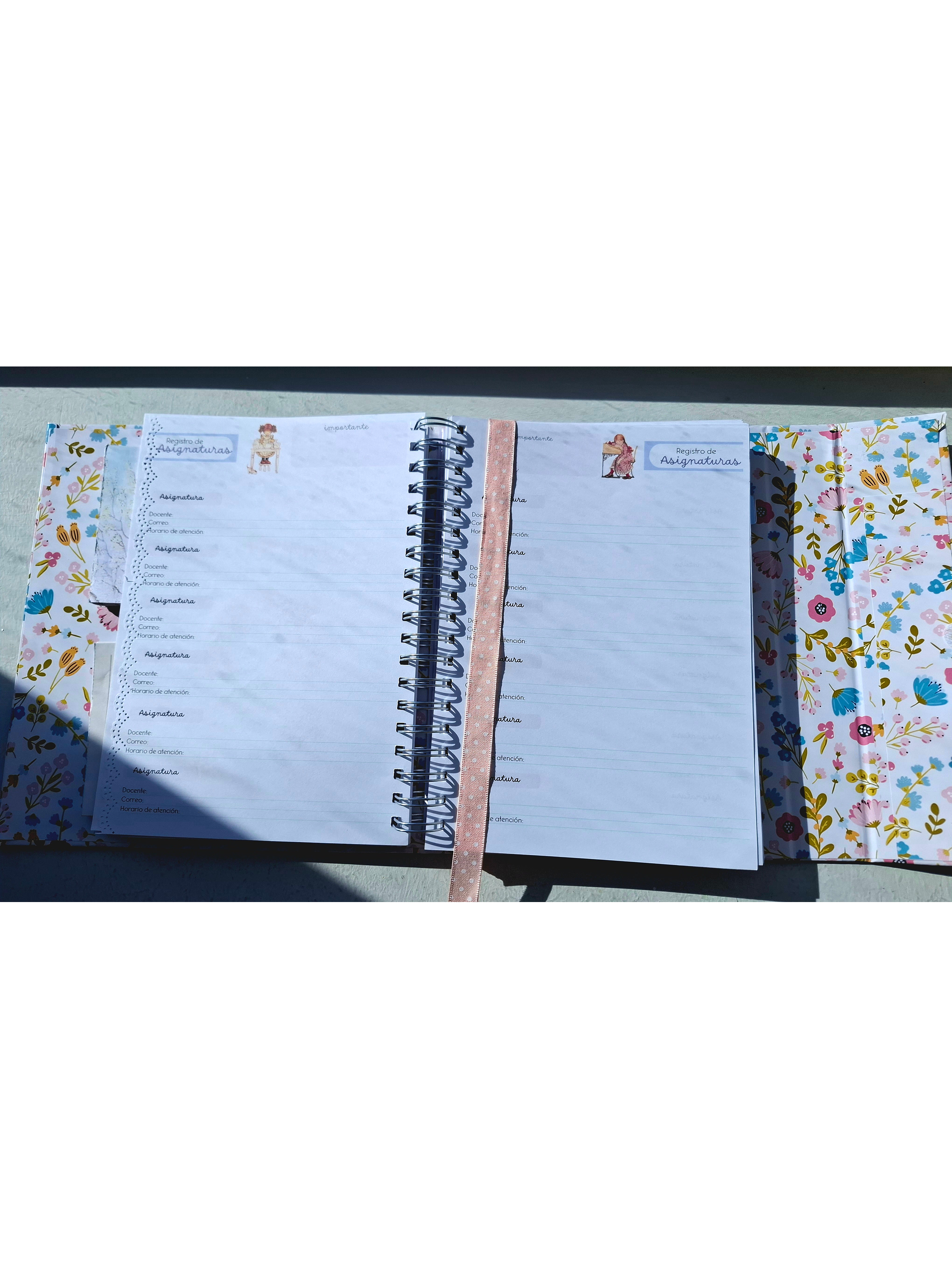 Organizador Docente Sarah Kay 11