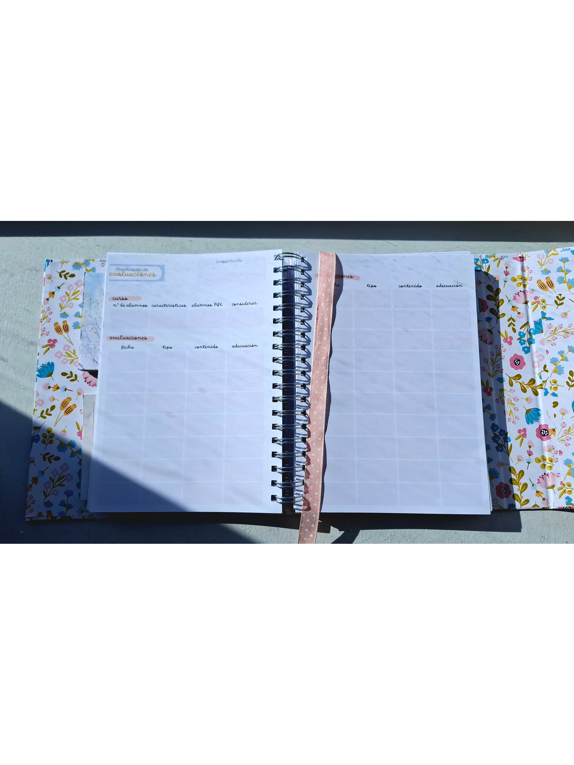 Organizador Docente Sarah Kay 12