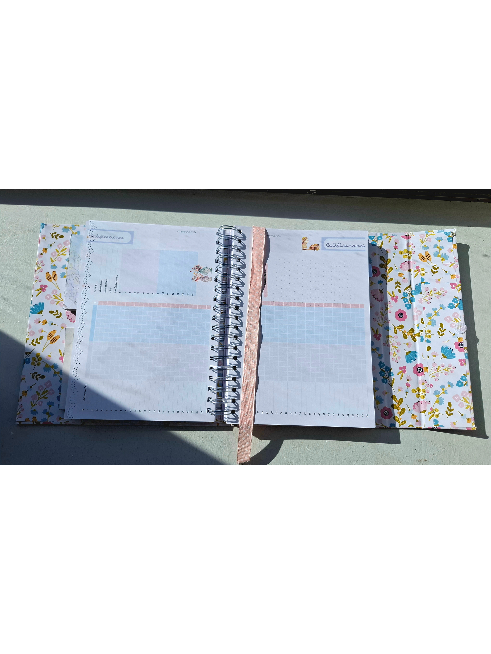 Organizador Docente Sarah Kay 14