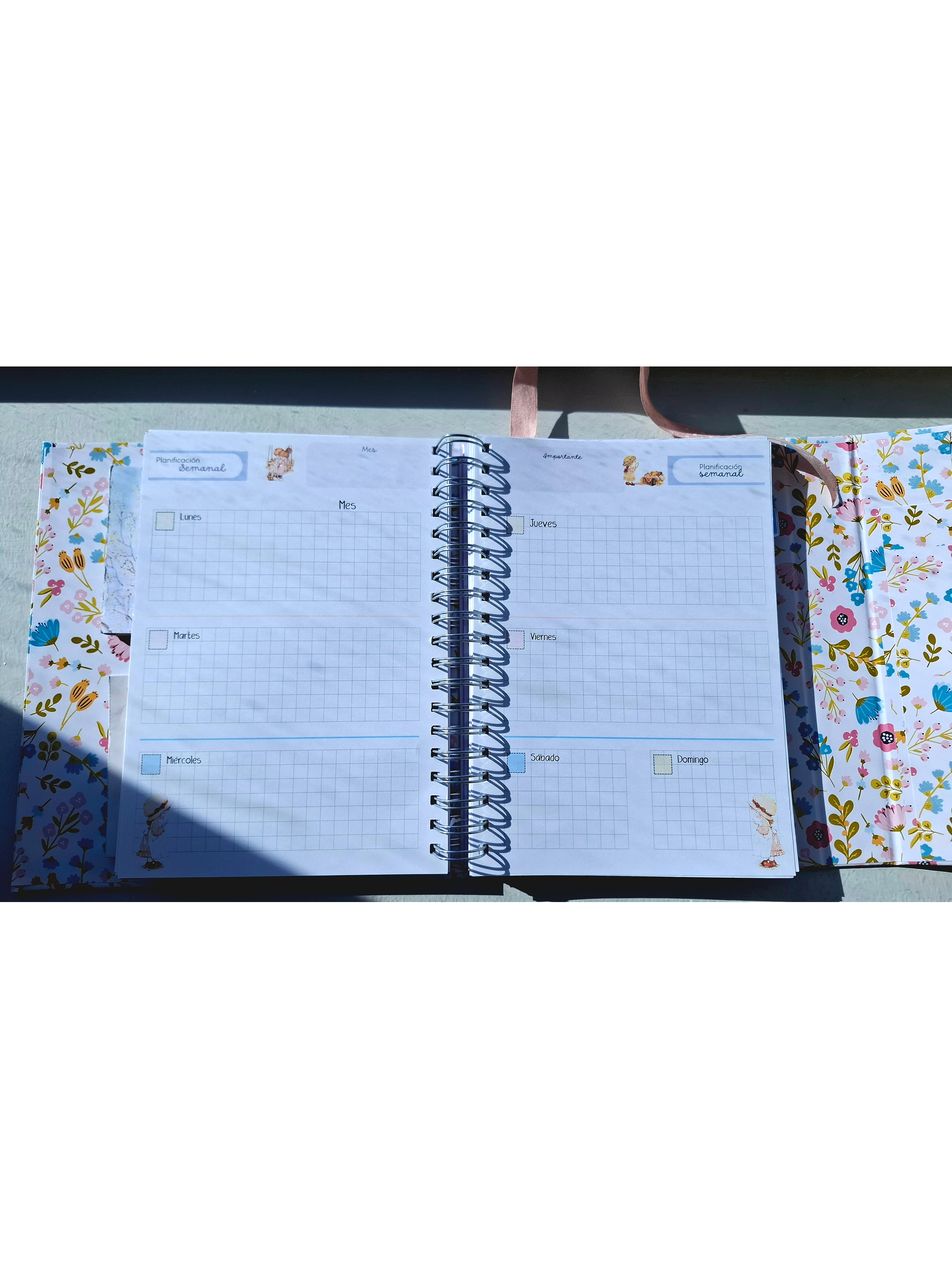 Organizador Docente Sarah Kay 17