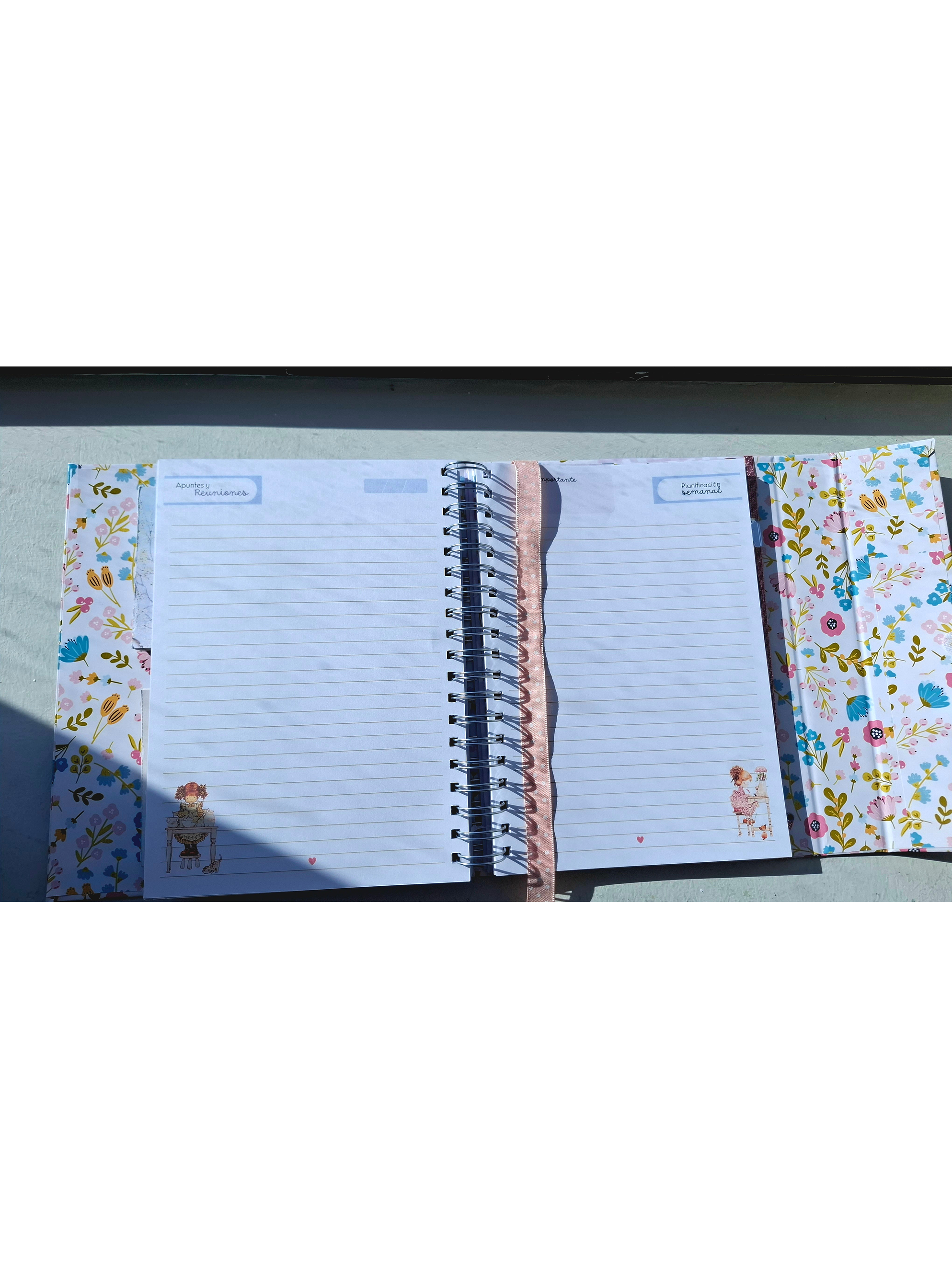 Organizador Docente Sarah Kay 19