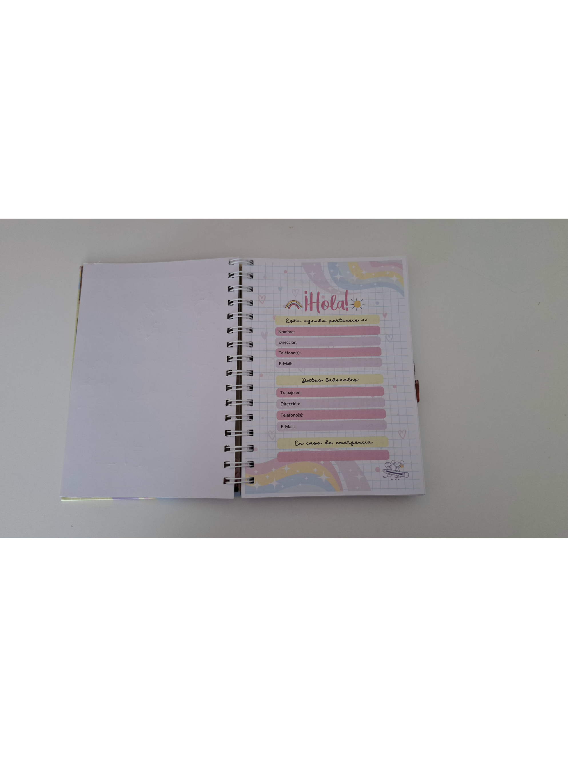 planner técnico en párvulos o asistente de la educación  2