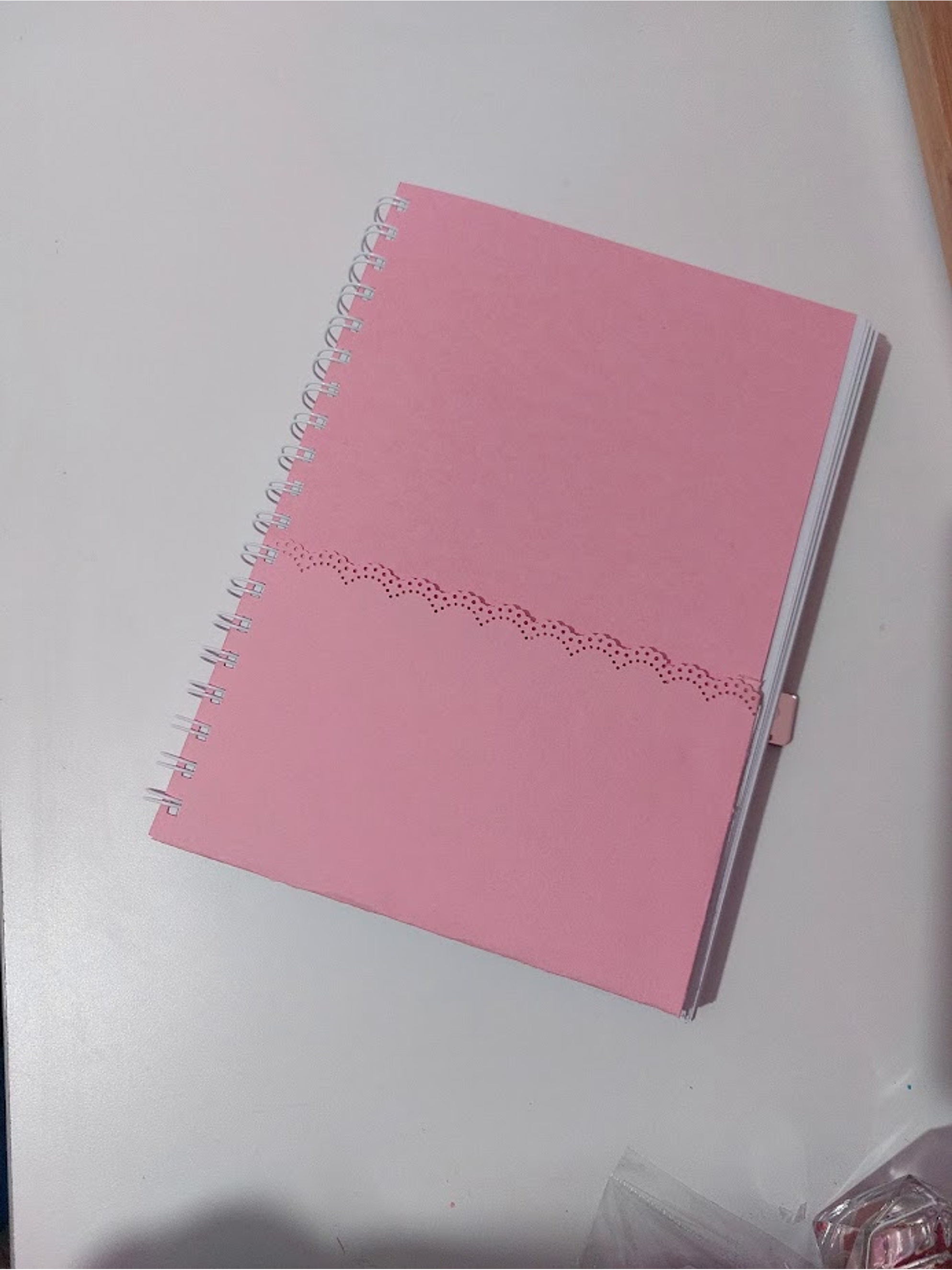 Planner Profesora Educación Diferencial 2