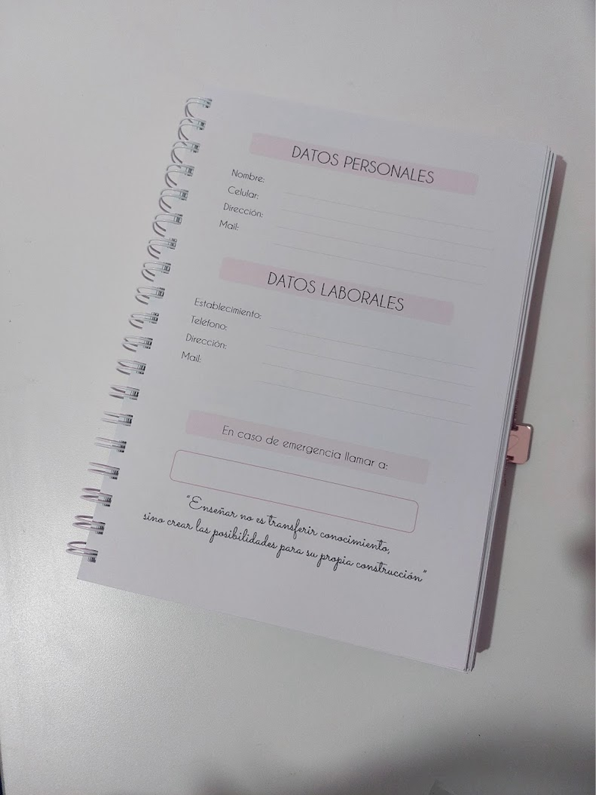 Planner Profesora Educación Diferencial 3