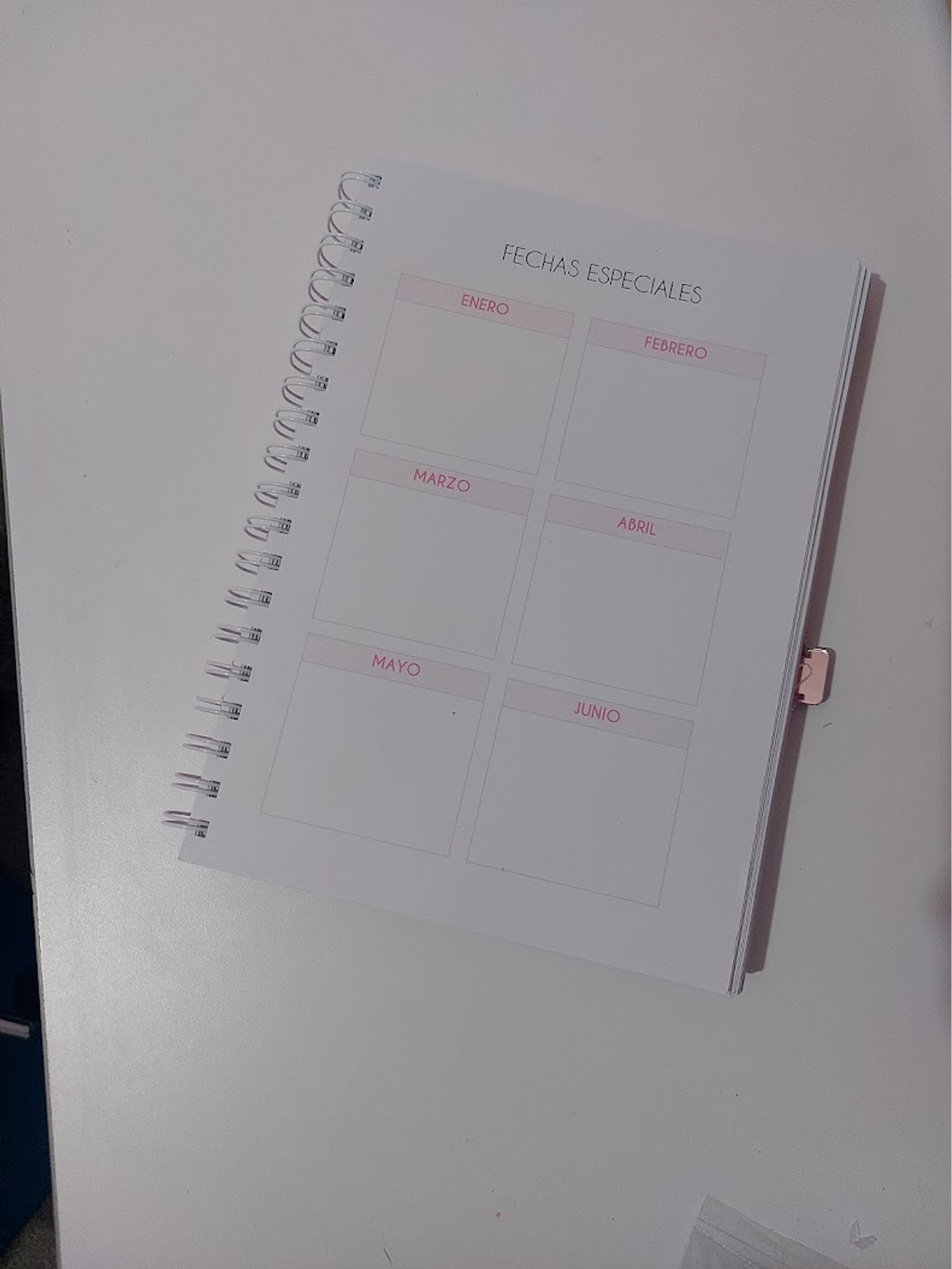 Planner Profesora Educación Diferencial 5