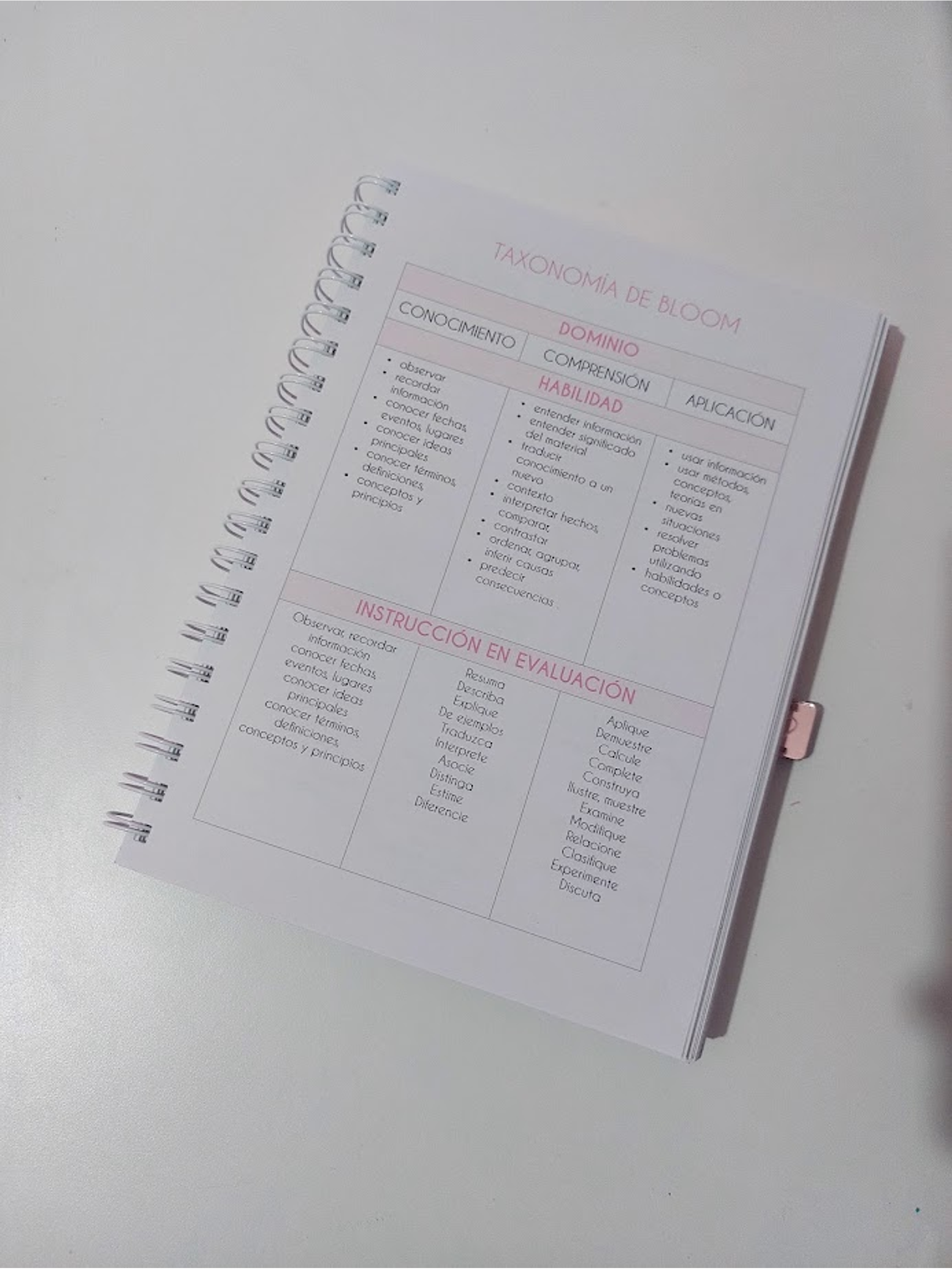 Planner Profesora Educación Diferencial 6