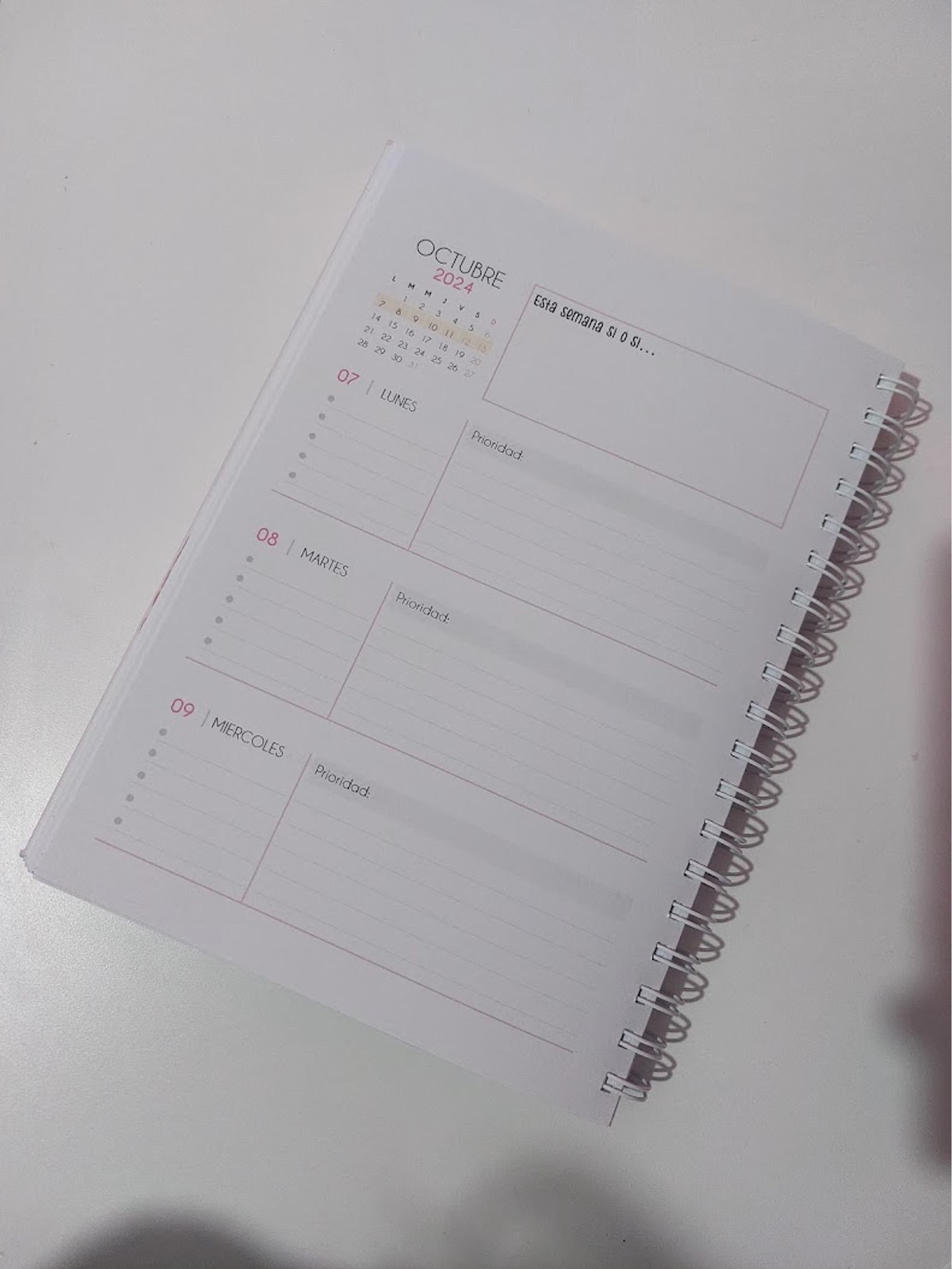 Planner Profesora Educación Diferencial 10