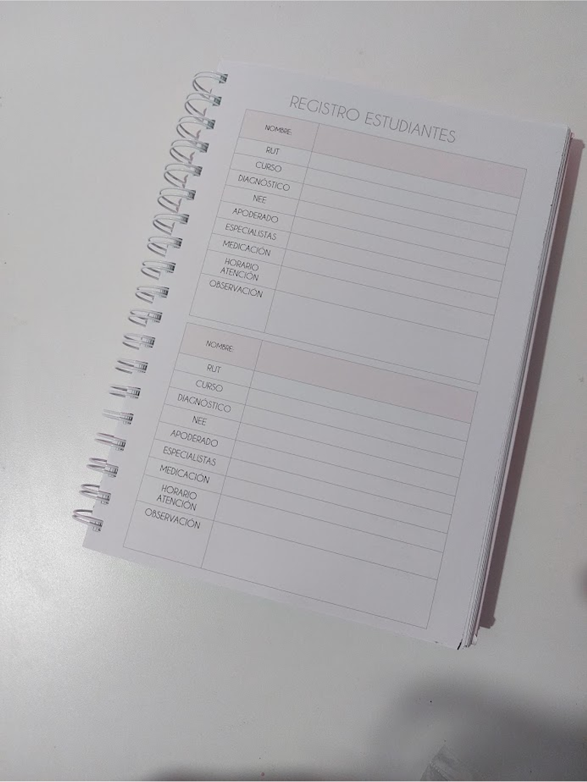 Planner Profesora Educación Diferencial 11