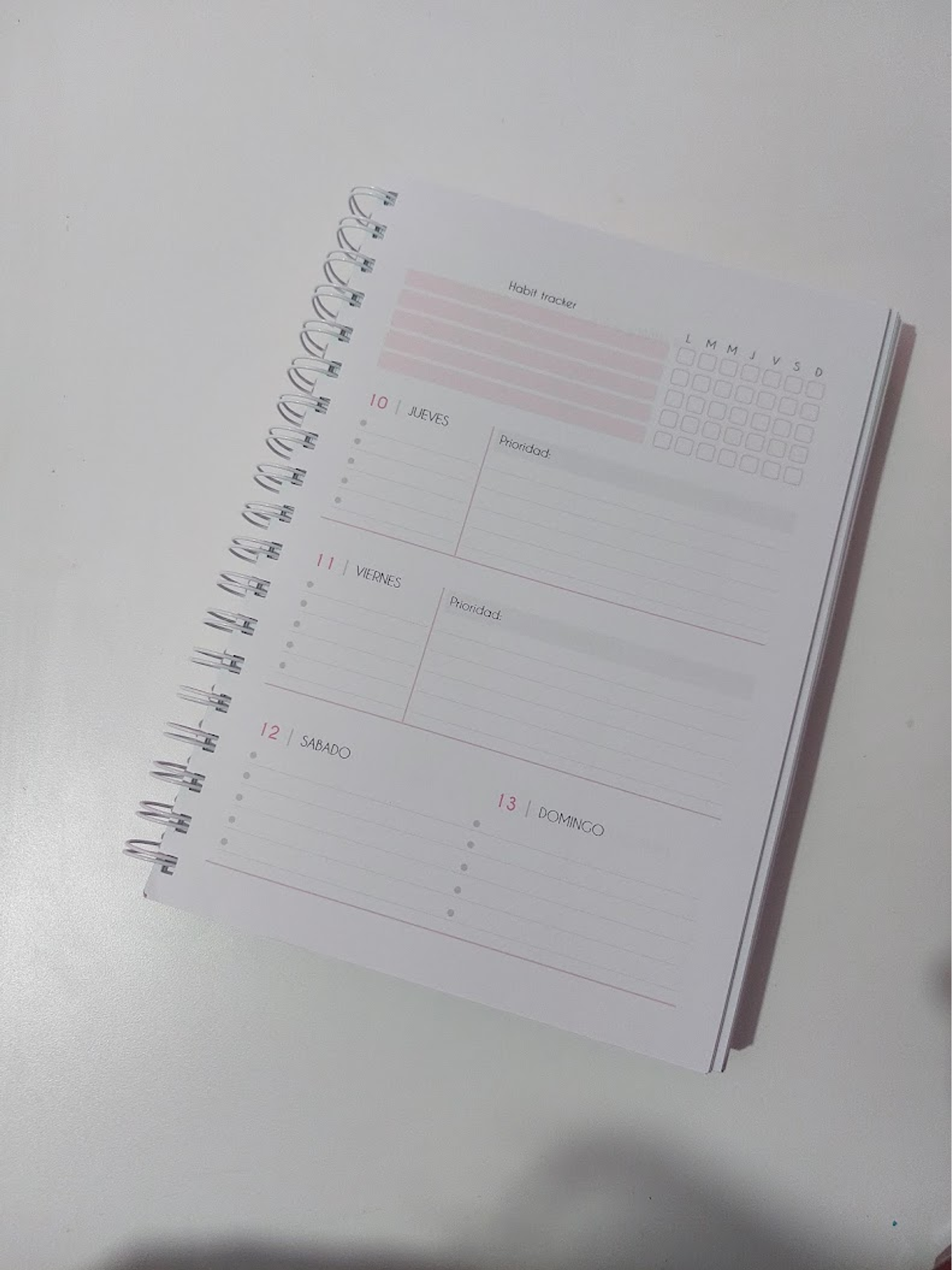 Planner Profesora Educación Diferencial 12