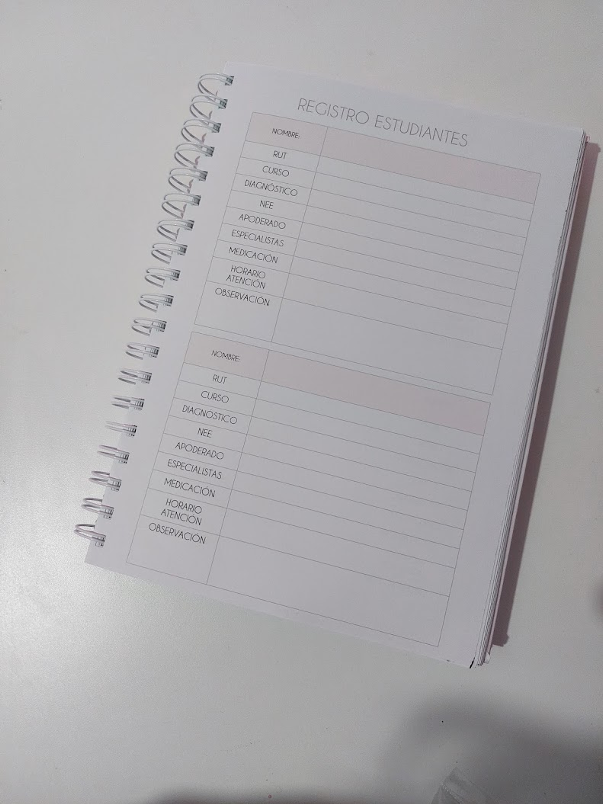 Planner Profesora Educación Diferencial 13